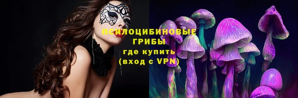 марки lsd Гусиноозёрск