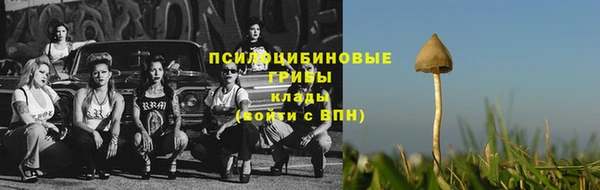 кокаин Гусь-Хрустальный