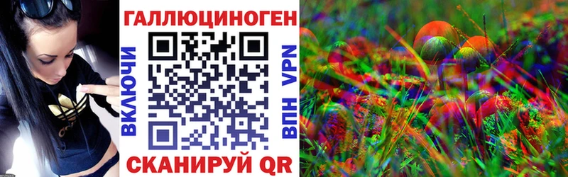 площадка какой сайт  Заволжье  Галлюциногенные грибы GOLDEN TEACHER 